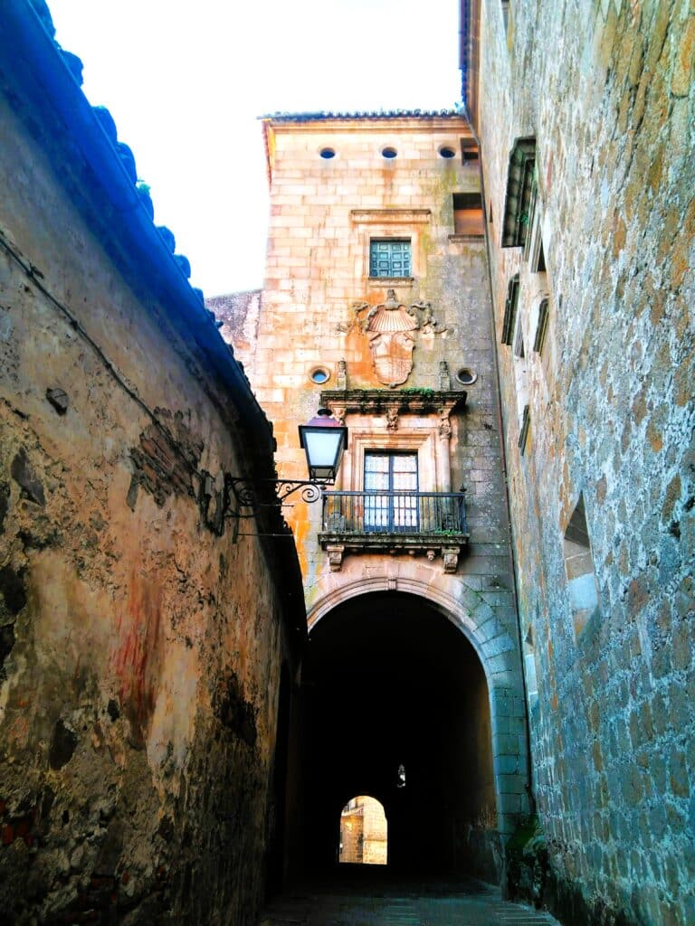 15 imprescindibles que ver en Plasencia: historia viva en su casco histórico 4 Palacio de Mirabel en una visita guiada por Plasencia